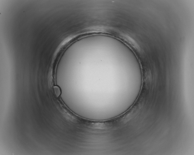 X0000112041172200908171505