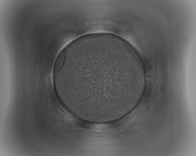 X0000112041173200908171505