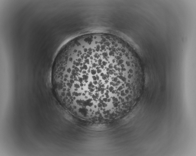 X0000112041174200908171505