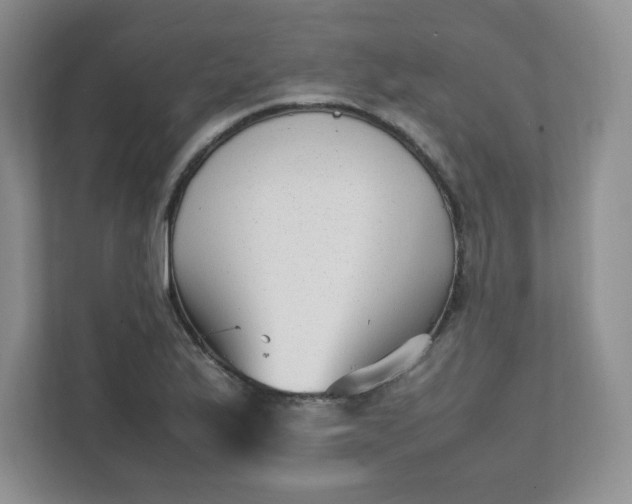 X0000112041175200908171505