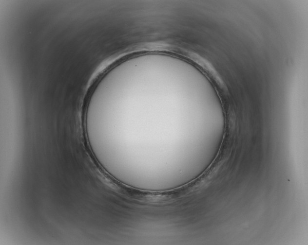 X0000112041176200908171505