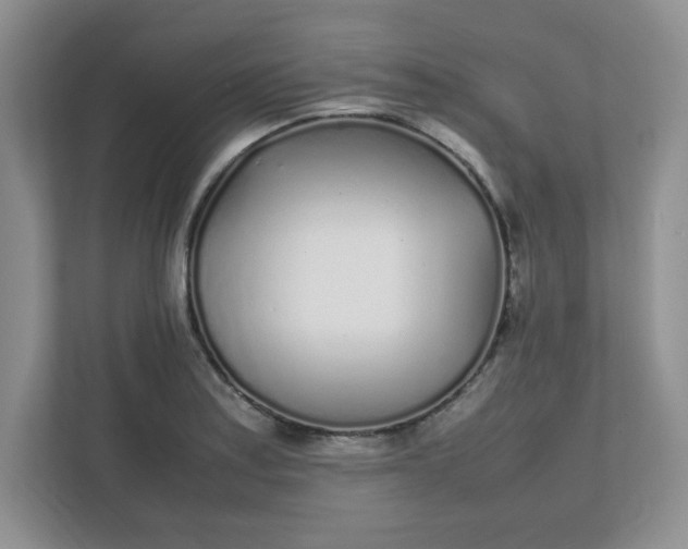 X0000112041179200908171505