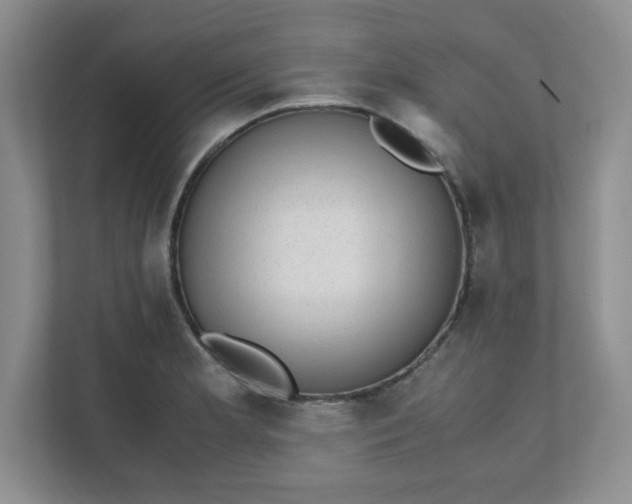 X0000112041181200908171505