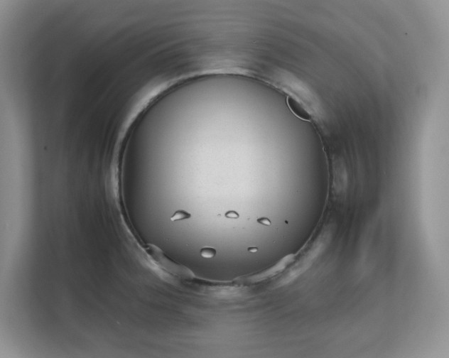 X0000112041188200908171505