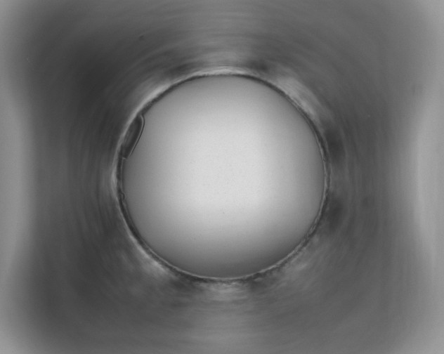 X0000112041189200908171505