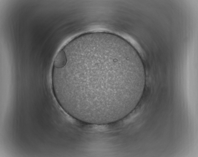 X0000112041191200908171505