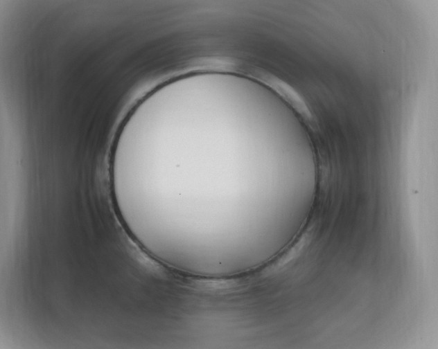 X0000112041192200908171505