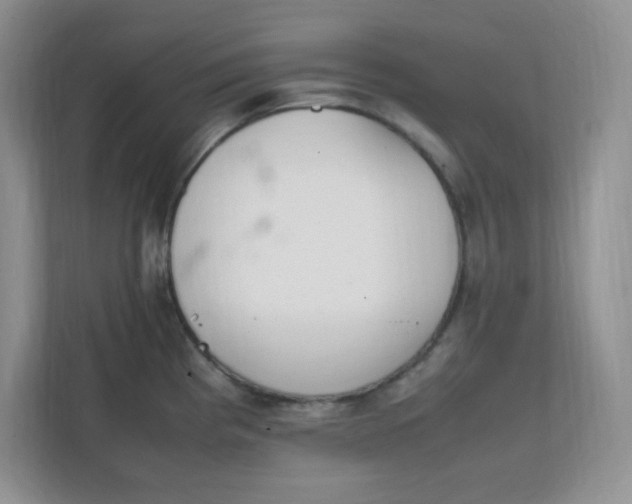 X0000112041193200908171505