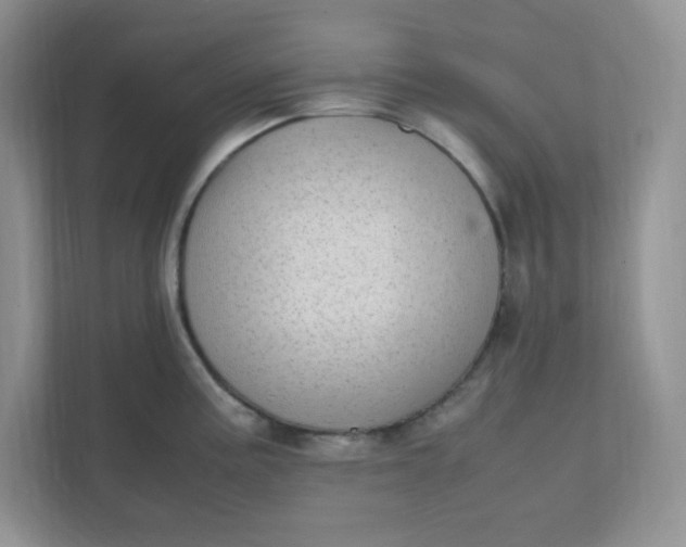 X0000112041195200908171505