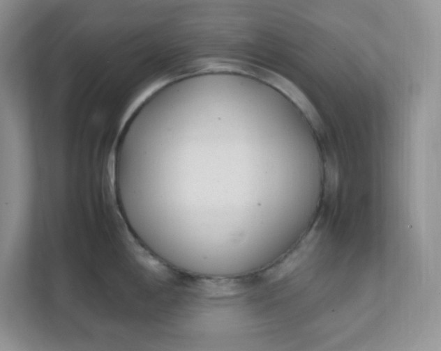 X0000112041198200908171505