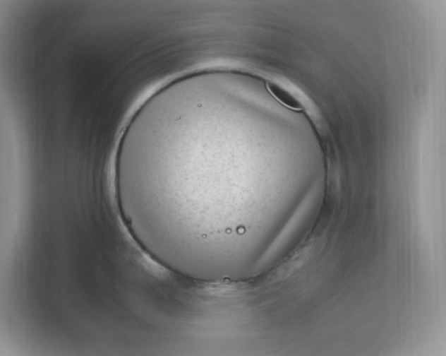 X0000112041199200908171504