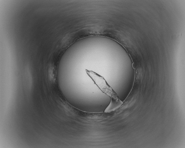 X0000112041202200908171504