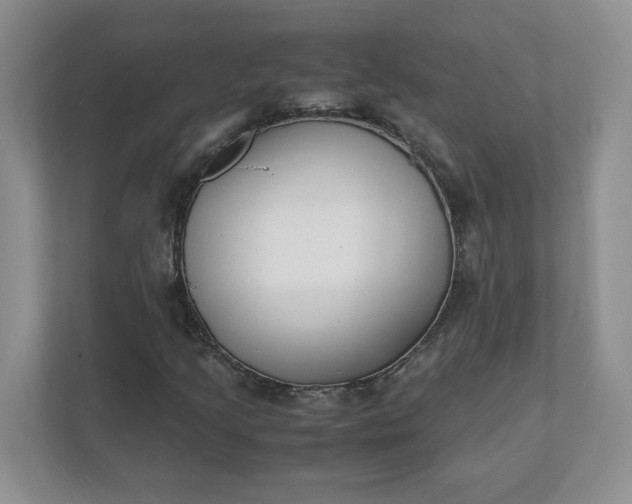 X0000112041205200908171504