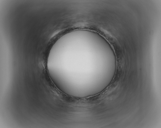 X0000112041206200908171504