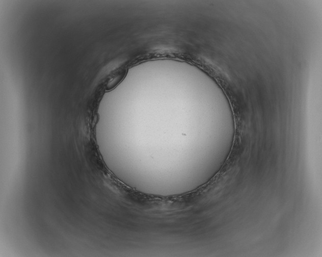 X0000112041207200908171504
