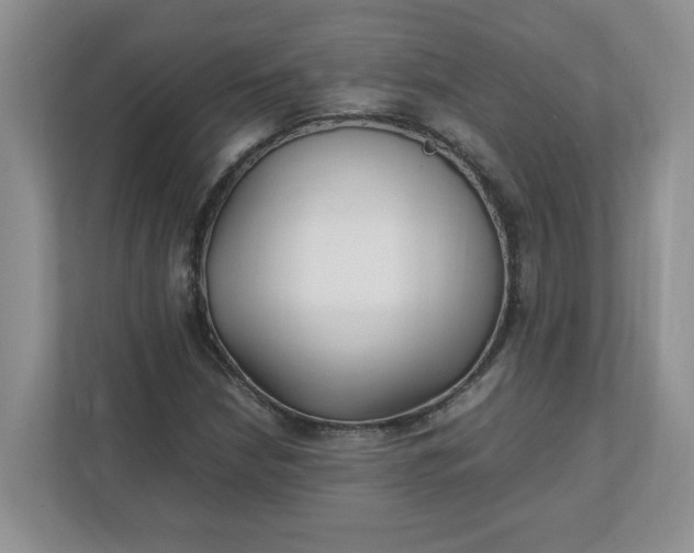 X0000112041210200908171504