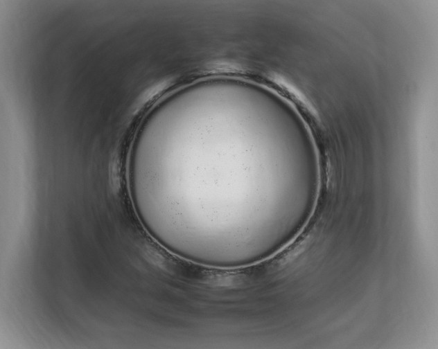 X0000112041213200908171504