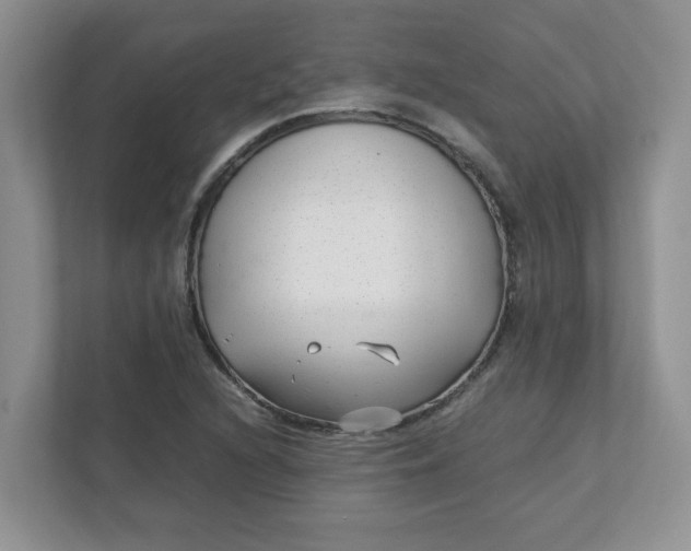 X0000112041216200908171504