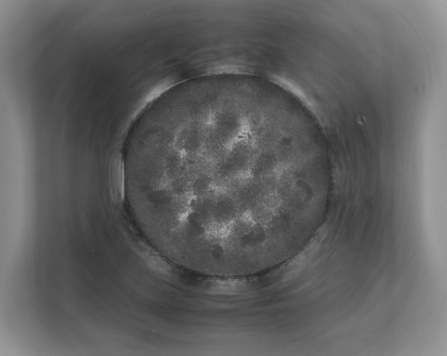 X0000112041219200908171504