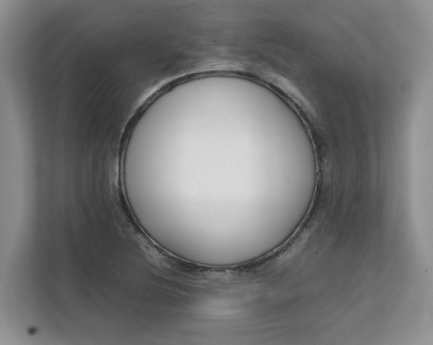 X0000112041220200908171504