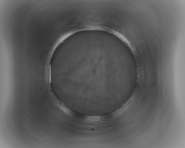 X0000112041223200908171504