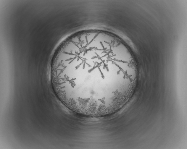 X0000112041224200908171504