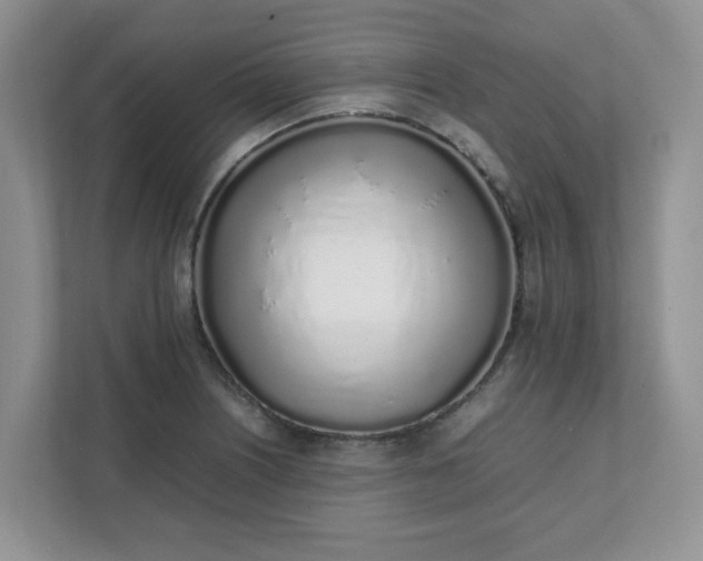 X0000112041226200908171504