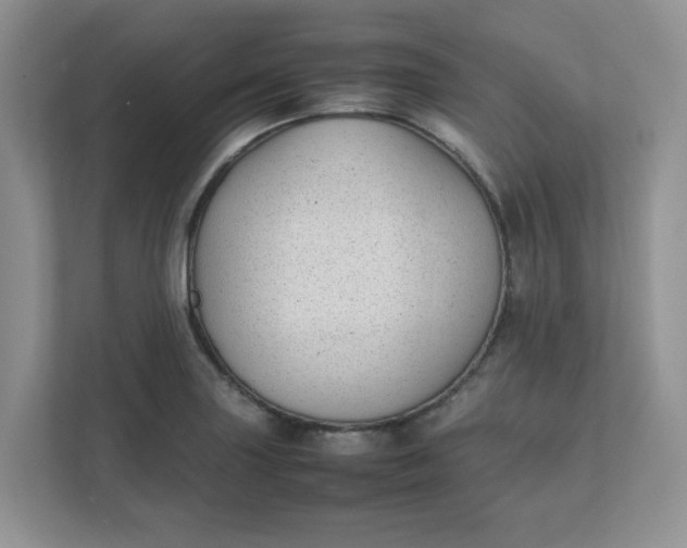 X0000112041227200908171504