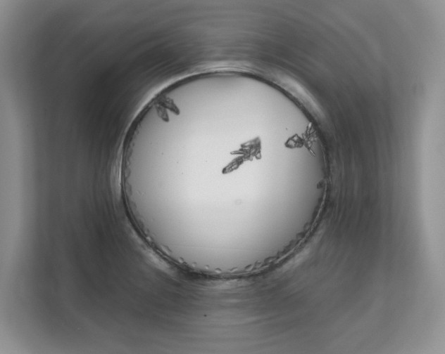 X0000112041228200908171504