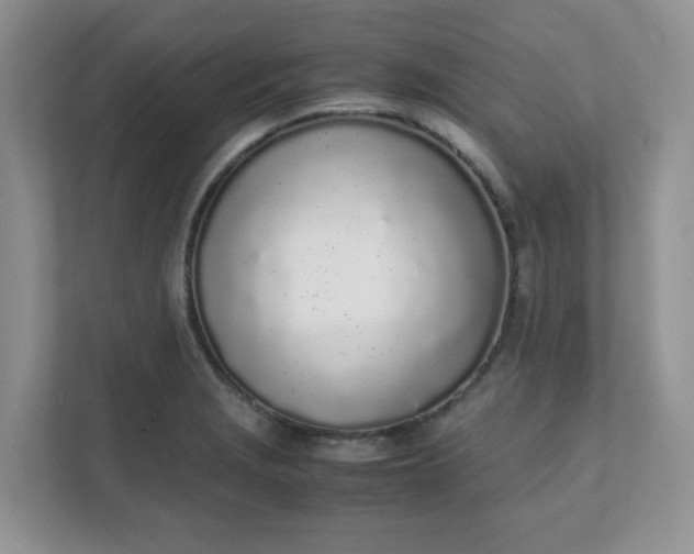 X0000112041229200908171504