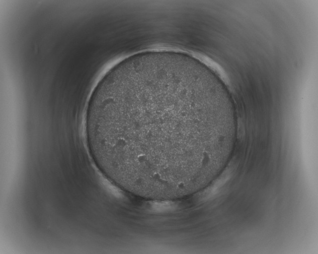 X0000112041231200908171504