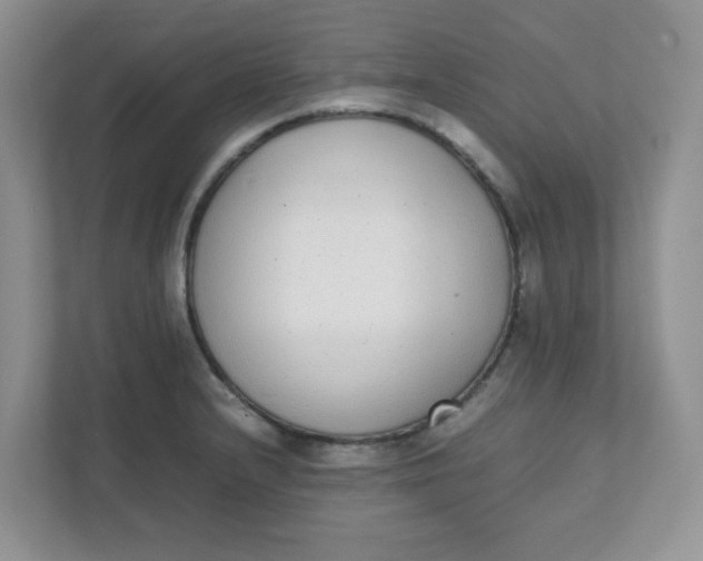X0000112041232200908171504