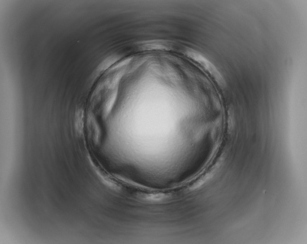 X0000112041233200908171504
