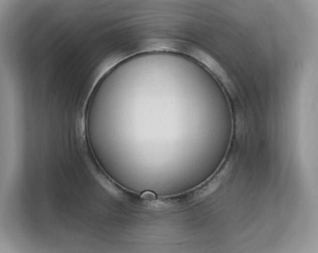 X0000112041234200908171504