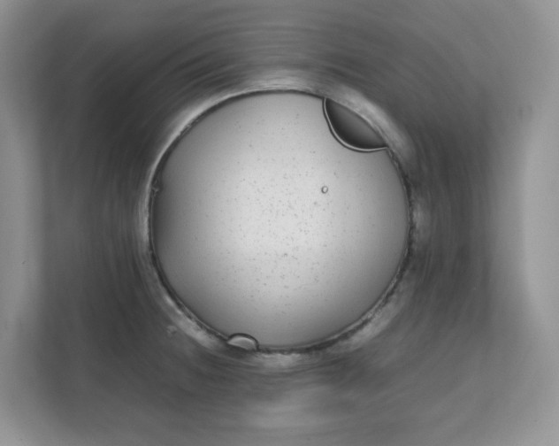 X0000112041236200908171504