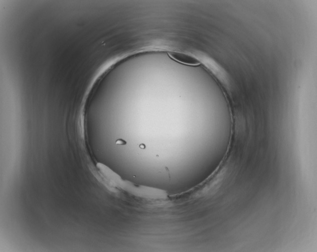 X0000112041238200908171504