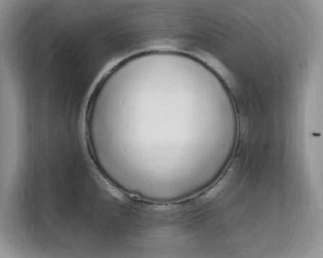 X0000112041240200908171504