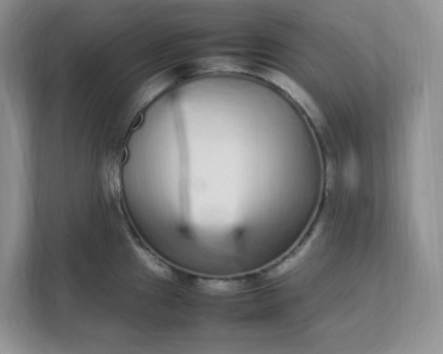 X0000112041241200908171504