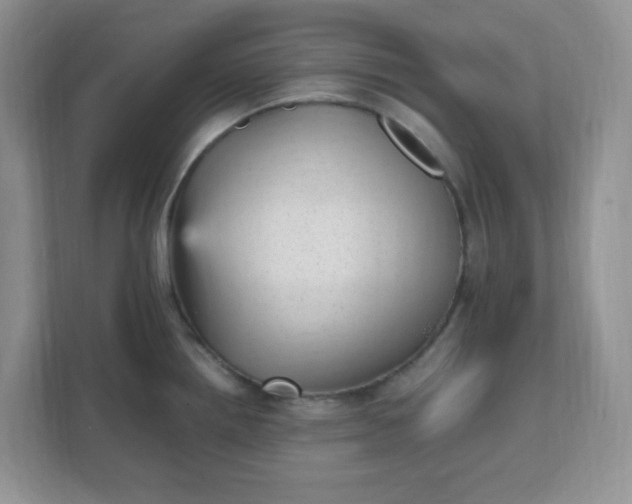 X0000112041242200908171504