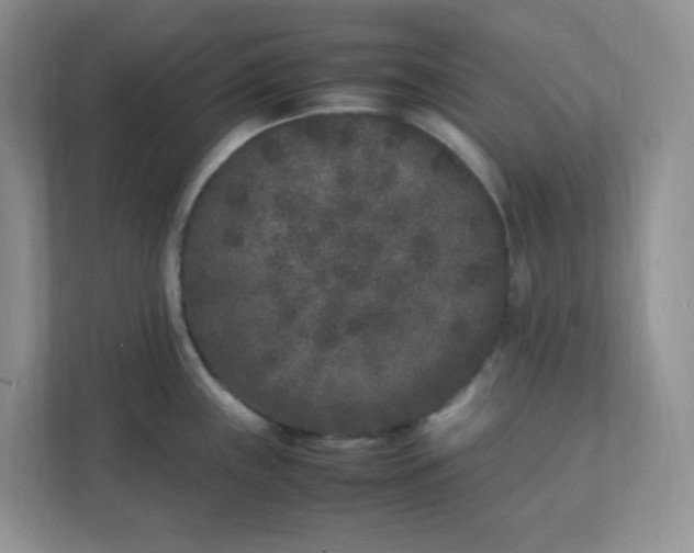 X0000112041243200908171504