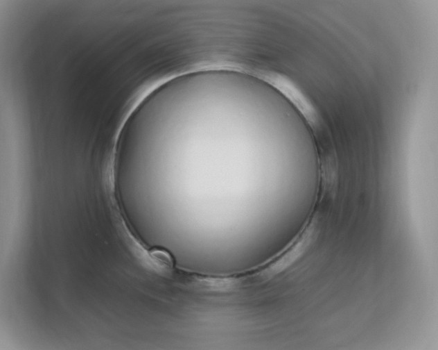 X0000112041244200908171504