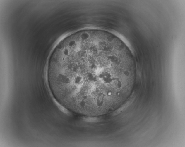 X0000112041245200908171504