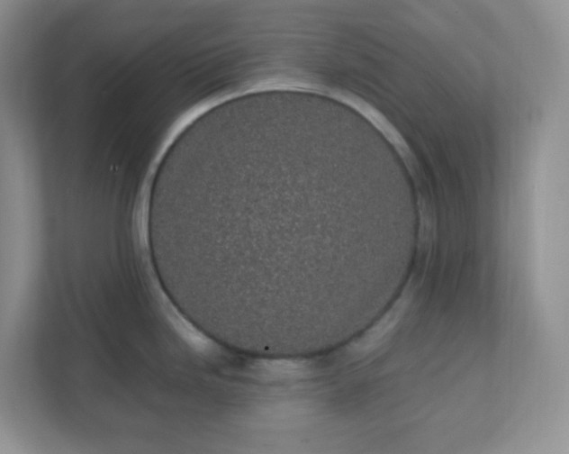 X0000112041246200908171504