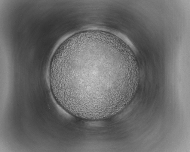 X0000112041247200908171504