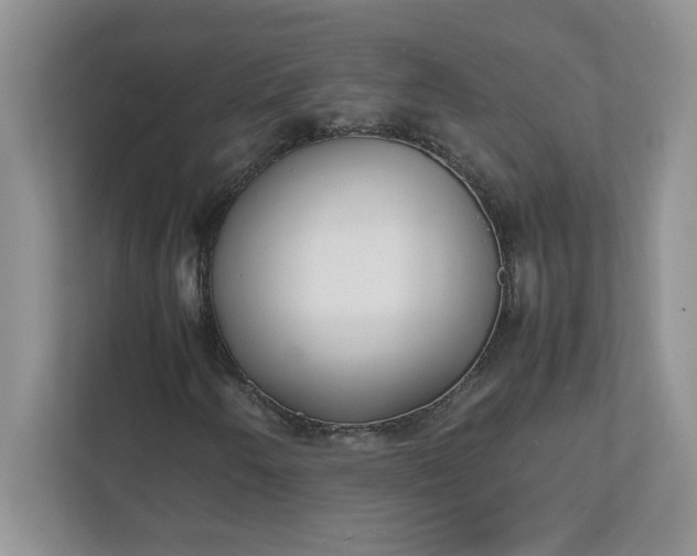 X0000112041250200908171504