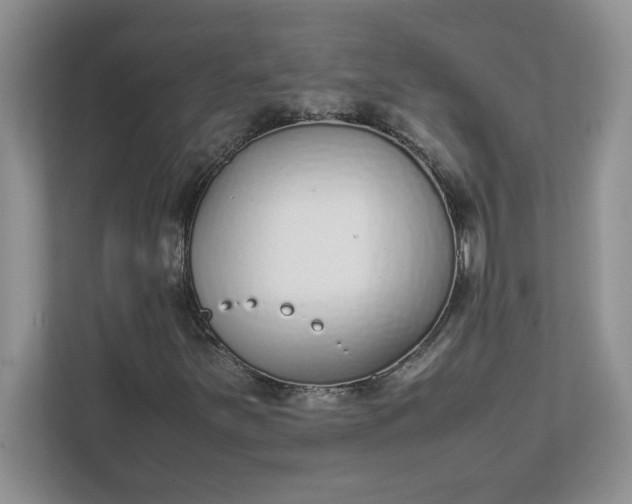 X0000112041251200908171504