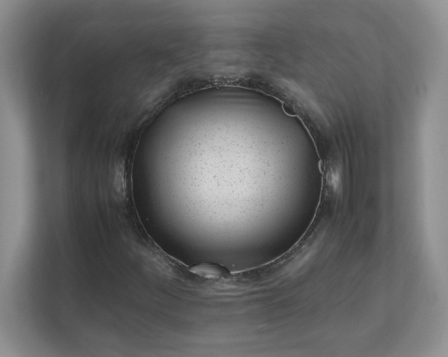 X0000112041252200908171504