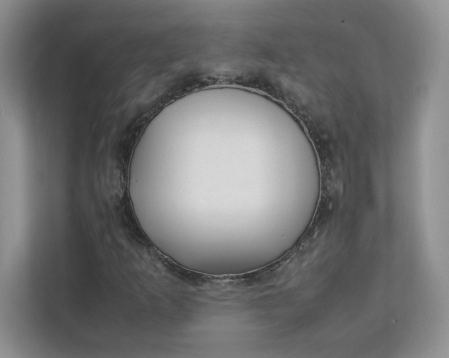 X0000112041253200908171504