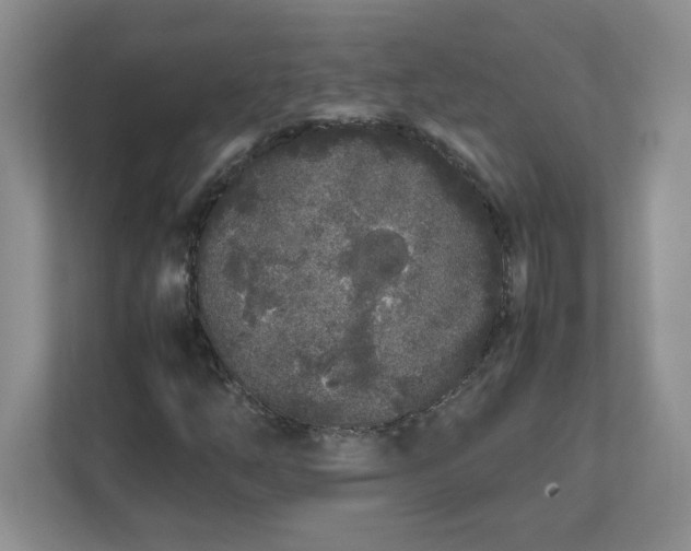 X0000112041254200908171504