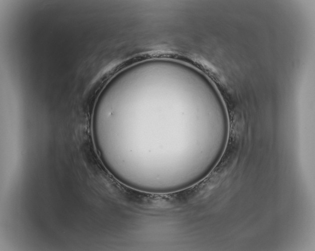 X0000112041255200908171504